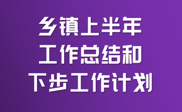 乡镇上半年工作总结和下步工作计划