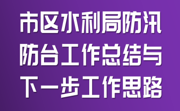 市区水利局防汛防台工作总结与下一步工作思路
