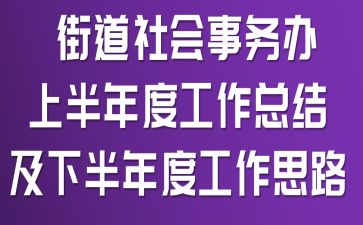 街道社会事务办上半年度工作总结及下半年度工作思路