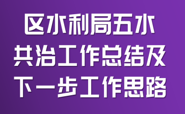 区水利局五水共治工作总结及下一步工作思路