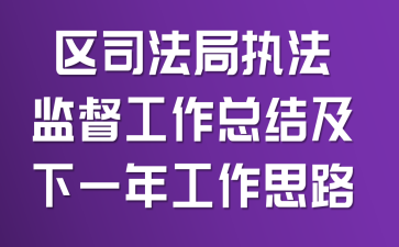 区司法局执法监督工作总结及下一年工作思路