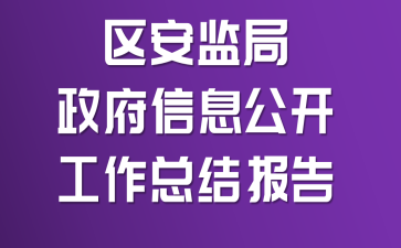 区安监局政府信息公开工作总结报告