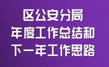 区公安分局年度工作总结和下一年工作思路