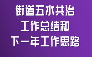 街道五水共治工作总结和下一年工作思路