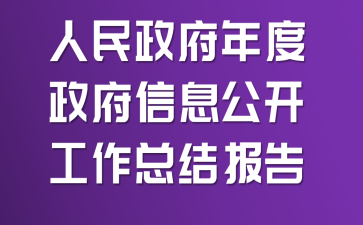 人民政府年度政府信息公开工作总结报告