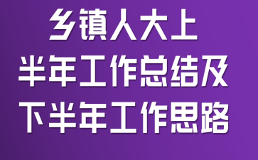 乡镇人大上半年工作总结及下半年工作思路