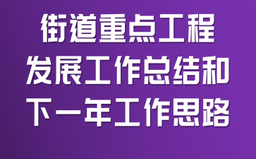 街道重点工程发展工作总结和下一年工作思路