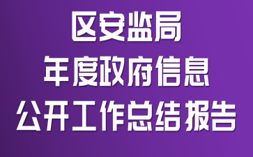 区安监局年度政府信息公开工作总结报告