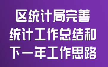 区统计局完善统计工作总结和下一年工作思路