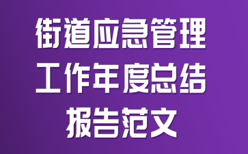 街道应急管理工作年度总结报告范文