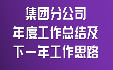 集团分公司年度工作总结及下一年工作思路