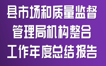 县市场和质量监督管理局机构整合工作年度总结报告