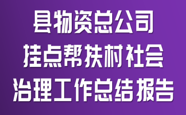 县物资总公司挂点帮扶村社会治理工作总结报告