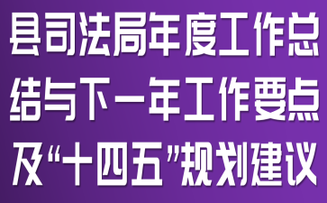 县司法局年度工作总结与下一年工作要点及“十四五”规划建议