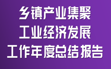 乡镇产业集聚工业经济发展工作年度总结报告