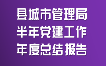 县城市管理局半年党建工作年度总结报告