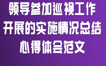 领导参加巡视工作开展的实施情况总结心得体会范文