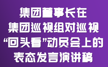 集团董事长在集团巡视组对巡视“回头看”动员会上的表态发言演讲稿