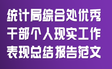 ͳ�ƾ��ۺϴ�����ɲ�������ʵ���������ܽᱨ�淶��
