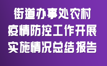 �ֵ����´�ũ��������ع�����չʵʩ����ܽᱨ��