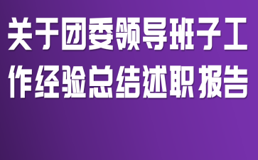 关于团委领导班子工作经验总结述职报告