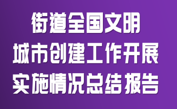�ֵ�ȫ���������д���������չʵʩ����ܽᱨ��