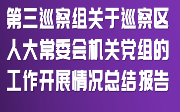 第三巡察组关于巡察区人大常委会机关党组的工作开展情况总结报告