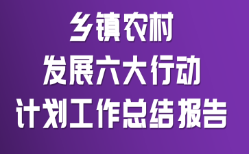 乡镇农村发展六大行动计划工作总结报告