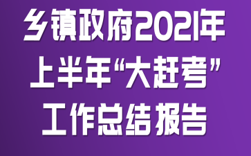 乡镇政府2021年上半年“大赶考”工作总结报告