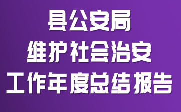 县公安局维护社会治安工作年度总结报告