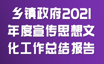 乡镇政府2021年度宣传思想文化工作总结报告