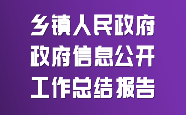 乡镇人民政府政府信息公开工作总结报告