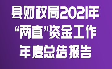 县财政局2021年“两直”资金工作年度总结报告