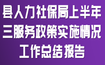 县人力社保局上半年三服务政策实施情况工作总结报告