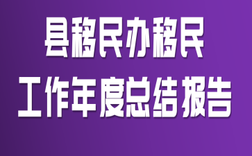 县移民办移民工作年度总结报告