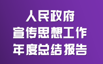 人民政府宣传思想工作年度总结报告