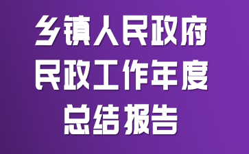乡镇人民政府民政工作年度总结报告
