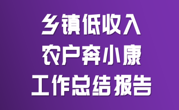 乡镇低收入农户奔小康工作总结报告