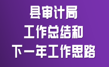 县审计局工作总结和下一年工作思路