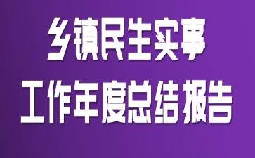乡镇民生实事工作年度总结报告