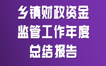 乡镇财政资金监管工作年度总结报告