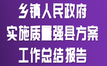 乡镇人民政府实施质量强县方案工作总结报告