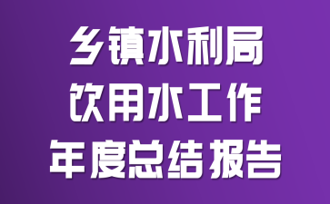 乡镇水利局饮用水工作年度总结报告