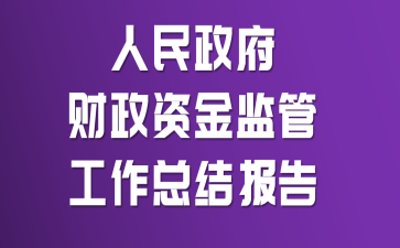 人民政府财政资金监管工作总结报告