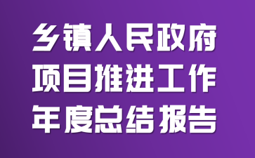 乡镇人民政府项目推进工作年度总结报告