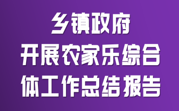 乡镇政府开展农家乐综合体工作总结报告