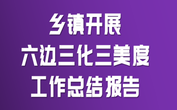 乡镇开展六边三化三美度工作总结报告