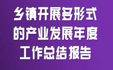 乡镇开展多形式的产业发展年度工作总结报告