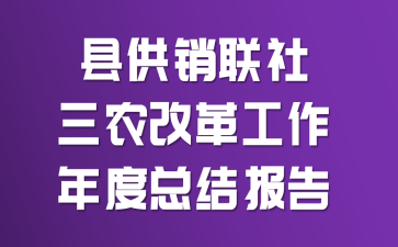 县供销联社三农改革工作年度总结报告
