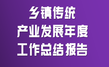 乡镇传统产业发展年度工作总结报告